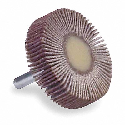 NORTON 63642502577 Flap Wheel 1 in Dia 5/8 in W P80 Grit