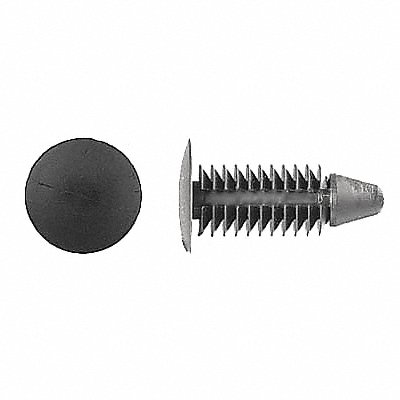 GRAINGER 5609PK Push In Rivet Black Dome 5/8 L PK50