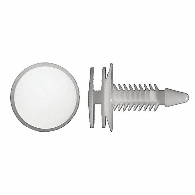 GRAINGER 9861PK Nylon Retainers White Dome 24mm L PK50