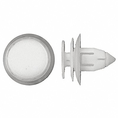 GRAINGER 2108PK Nylon Retainers White Dome 14mm L PK25