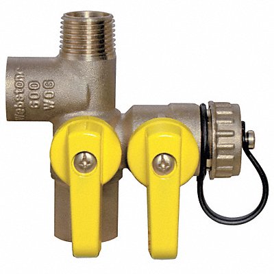 WEBSTONE 41672 Expansion Tank Valve 1/2 in Brass