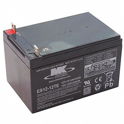 GENERAC 316543GS Battery