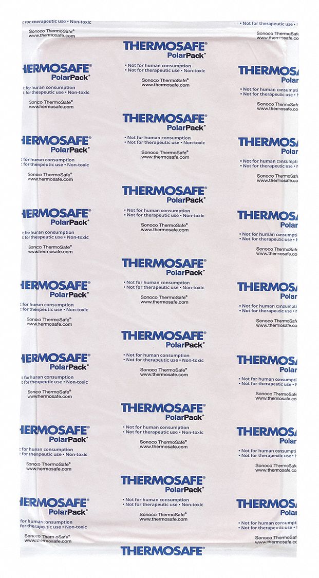 THERMOSAFE FPP22 Cold Brick 22 oz 9 L 4-3/4 W PK24