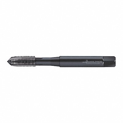 WALTER PROTOTYP M203009EGM3 STI Tap M3x0.5 HSS