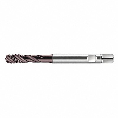 WALTER PROTOTYP S2051312M10 Spiral Flute Tap M10x1.50 HSS