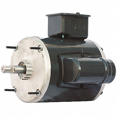 DAYTON GGS46522 Motor 1/3 HP 1725 Non-Standard 115V
