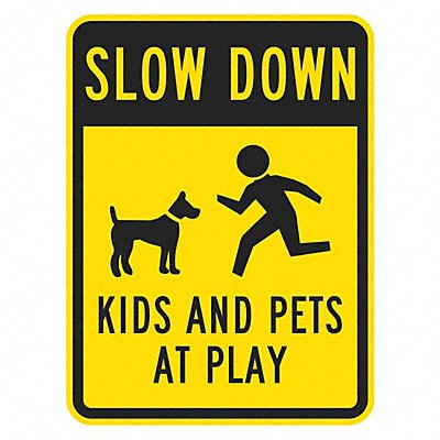 LYLE T11027DG18x24 Kids and Pets at Play Sign 24 x 18