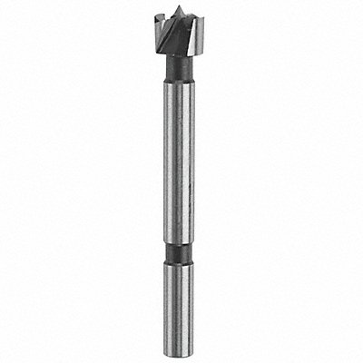 BOSCH FB010 Forstner Bit 5/8In