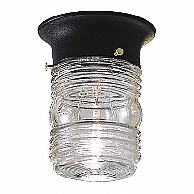 PROGRESS LIGHTING P560331 Canopy Light Incandescent 60W