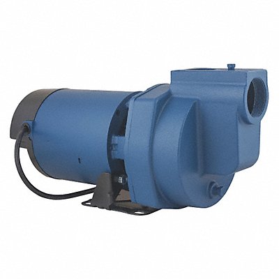 FLINT WALLING SP10P1 Sprinkler Pump 1 HP 1Ph 120/240VAC