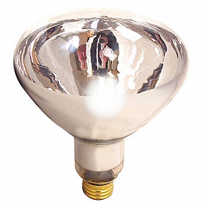 SATCO S4750 125 W R40 Medium Screw (E26)