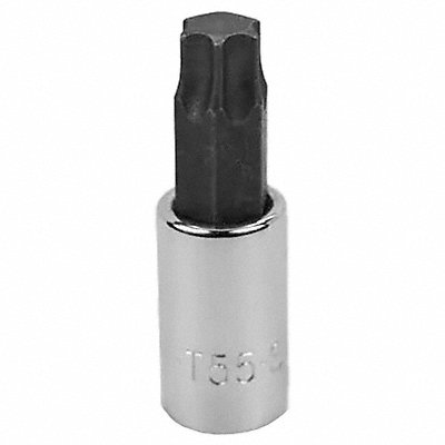 SK PROFESSIONAL TOOLS 45573 Socket Bit Steel 3/8 in TpSz T55