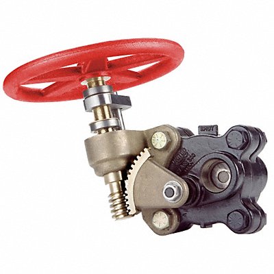 UNITED BRASS WORKS 299913 Gate Valve 1-1/2 in FNPT Carbon Steel