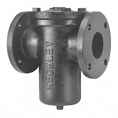 KECKLEY 121FFSCI125P34FBIGFV Basket Strainer 31 H 450 deg.F 200 psi
