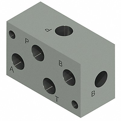 MONARCH 500205000000 Valve Manifold Kit Remote 1/4in NPT Port