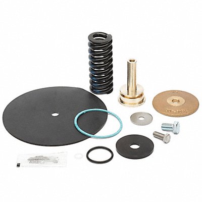 ZURN WILKINS RK212500XL Repair Kit Reduce Valve 2-1/2 In