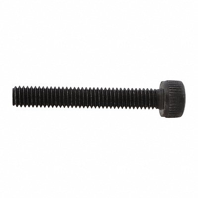 SPEEDAIRE TTBT2466524G Screw Speedaire