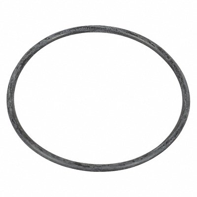 DAYTON TT2041108040300G O-Ring Not Applicable Speedaire