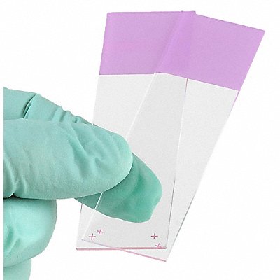GLOBE SCIENTIFIC 1358L K7701 Microscope Slide Purple PK72