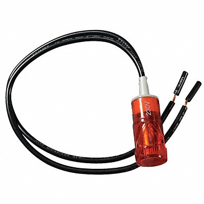 DAYTON DAP0017 Pilot Light Assembly
