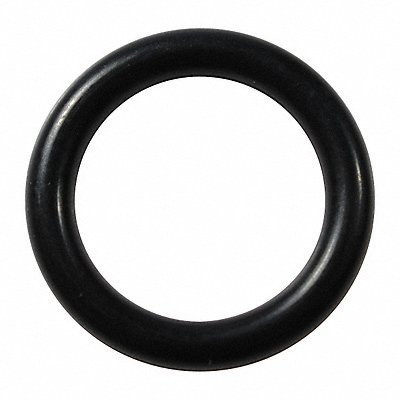 GRAINGER D111 O-Ring