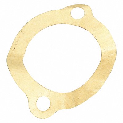 DAYTON PP810010G Gasket