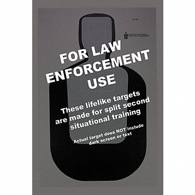 ACTION TARGET TQ19E100 Silhouette Target PK100