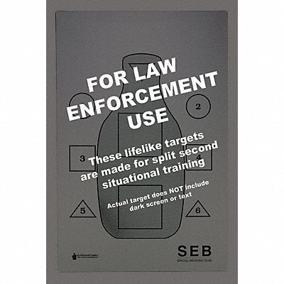 ACTION TARGET SEB100 SWAT Vital Area Target PK100