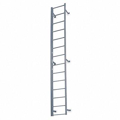 COTTERMAN F13SC1 Fixed Ladder 12 ft 3 In H Steel