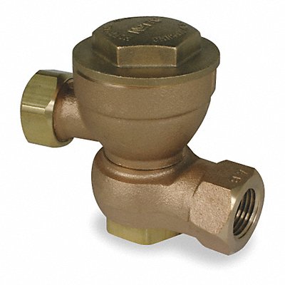 BELL GOSSETT 17CS225 Steam Trap 25 psi Brass 1/2 in 2 Ports