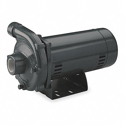 DAYTON 4RJ69 Pump 2-1/2 HP 1 Ph 240VAC