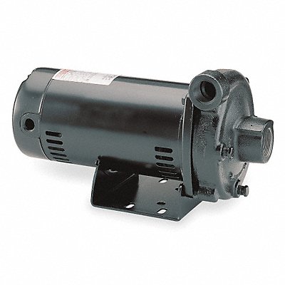 DAYTON 4RU76 Pump 1/2 HP 1 Ph 120/240VAC