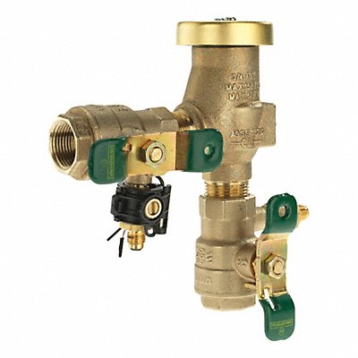 WATTS 800M4FR Freeze Resistant Vacuum Breaker 6-1/2inH