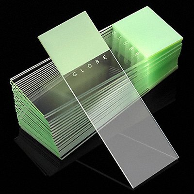 GLOBE SCIENTIFIC 138050G Microscope Slide Green PK1440