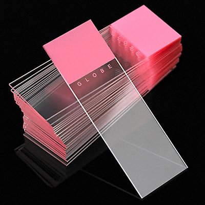 GLOBE SCIENTIFIC 138050P Microscope Slide Pink PK1440