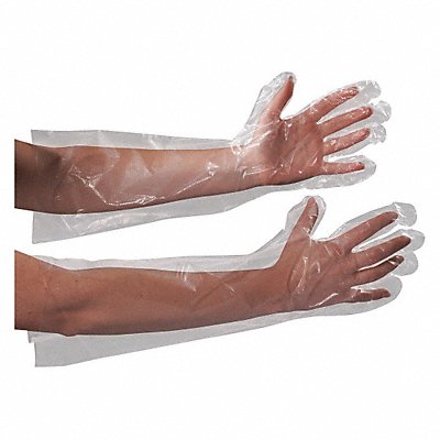 PARTNERS BRAND GLV2221 Gloves Poly Elbow Length 18 PK100