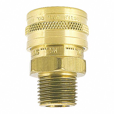 FOSTER 12MS Straight-thru Brass Socket 1/8 MPT