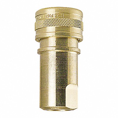 FOSTER H2B Brass Socket 1/4 x1/4 FPT