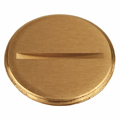 RACO 6226 Flush Replacement Plug 1-1/2 L Brass