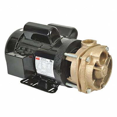 DAYTON 53EA98 Turbine Pump 1-1/2 HP 115 to 230V