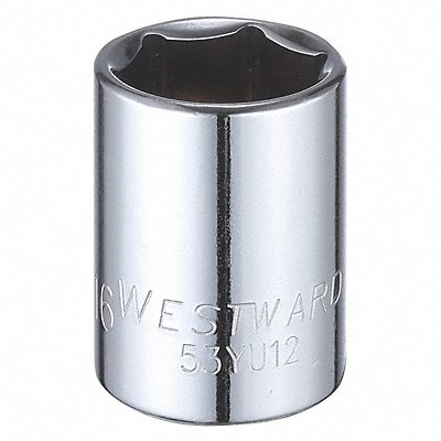 WESTWARD 53YU12 Socket Steel Chrome 13/16 in