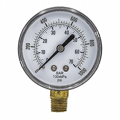 PIC GAUGES SEP101D254MBSPT Pressure Gauge Nominal 2-1/2 Dial