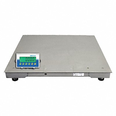 ADAM EQUIPMENT PT3105SAE403 Platform Floor Scale Platform Weighing