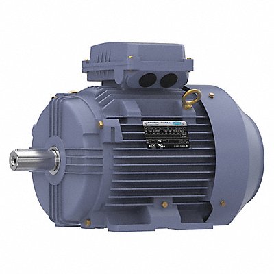 MARATHON MOTORS TCA7P52AP211GAA009 Metric Motor 10 HP 1 775 RPM 575V 132M