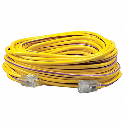 SOUTHWIRE 2549SW0022 Extension Cord 12 AWG 125VAC 100 ft L
