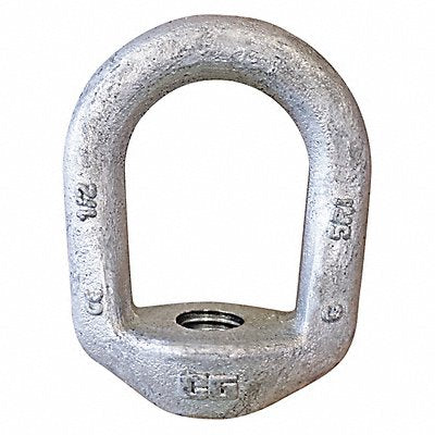 CROSBY 1090553 Eye Nut HDGal Stl 3/4 3in 1PK