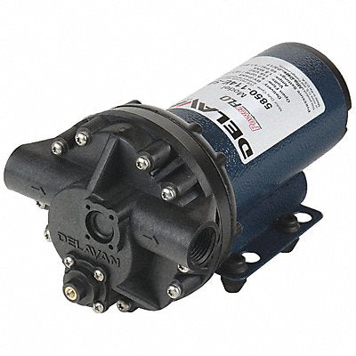 DELAVAN AG PUMPS 5850114ESB Diaphragm Pump PolyP 5Cmb 5gpm 60psi