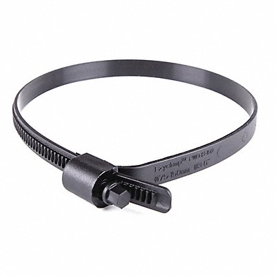GRAINGER PWD13150SCPA66BK Plastic Hose Clamp Hex Screw PK10