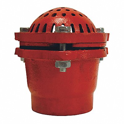 DIXON VALVE COUPLING DFVS35 Cast Iron Threaded Foot Valve 3