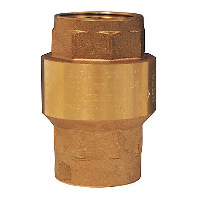 DIXON VALVE COUPLING CV050 Spring Loaded Check Valve 1/2